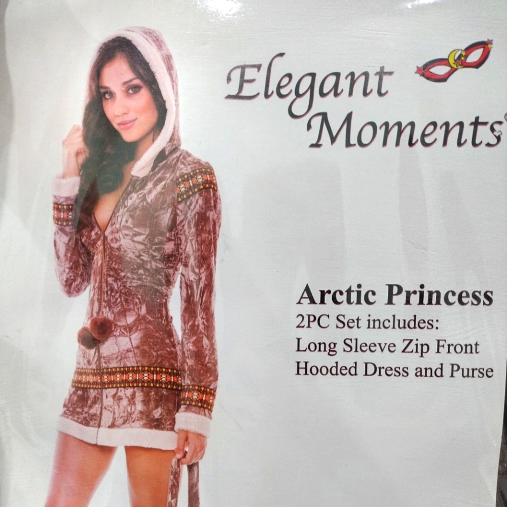 Artic Princess Costume